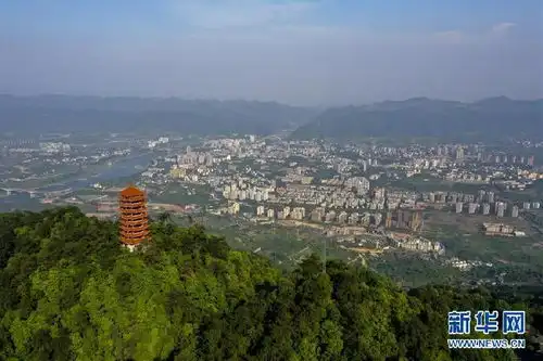 缙云山绿意盎然生态美