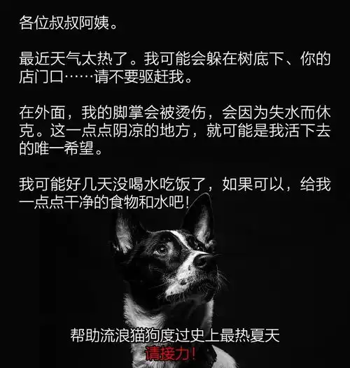 请接力叔叔阿姨,我只是太热了,请不要赶我走