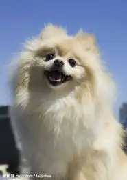 测试一个超长简介的文章
