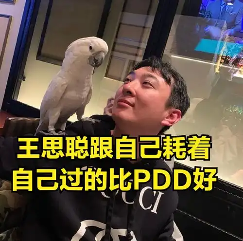 小智暗示自己过得比pdd好小智王思聪把pdd删了,都没把我删除
