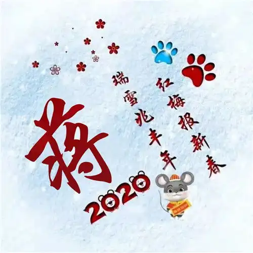 寓意吉祥好兆头的姓氏头像图片瑞雪兆丰年红梅报新春