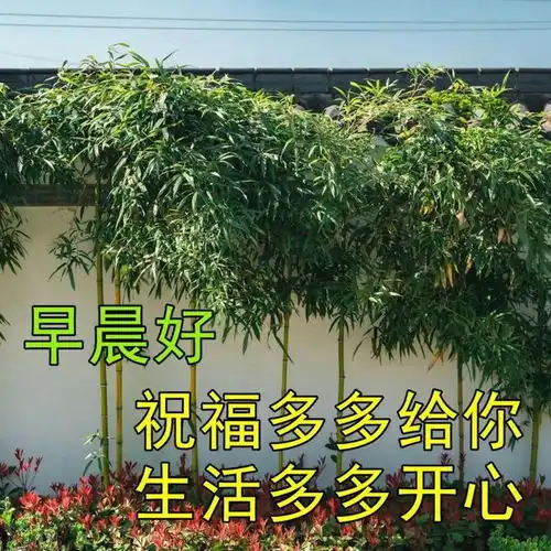 早上好暖心问候祝福语短信,最新精美的早安动态图片