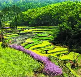 画城桐庐一幅永恒的富春山居图