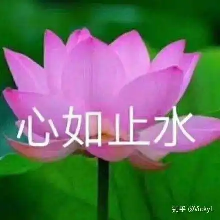 幼师这一行真的不好吗