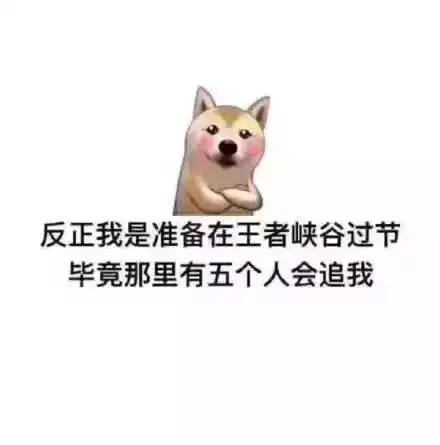 七夕单身贵族专属文案我不是不谈恋爱我是没人要