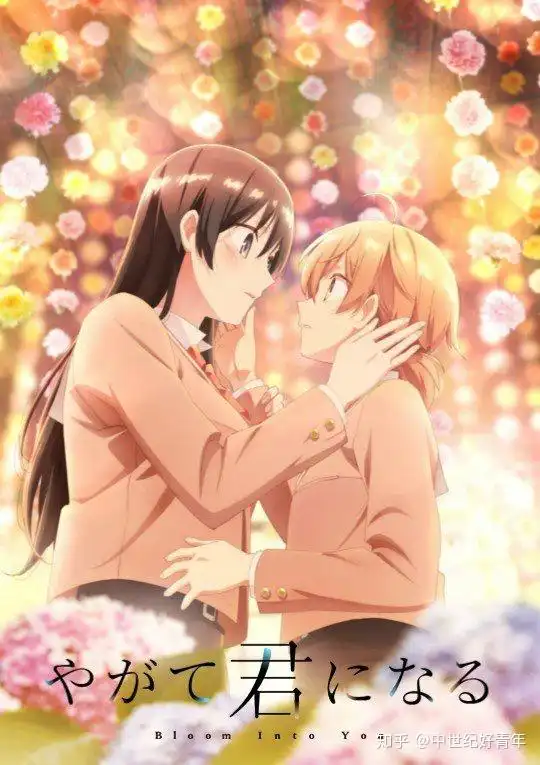轻百合看腻了,大佬们能不能给推荐点硬百合番剧
