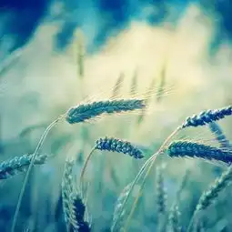 clovel的所有日志mtime时光网