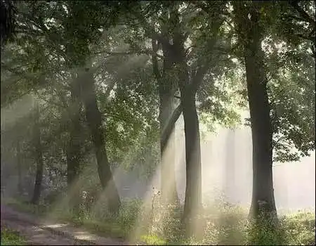 这个低调的客家男孩,回到广州才分享这篇战疫日志