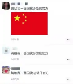 这样操作,100得到官方国旗头像