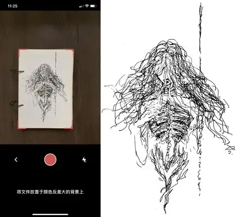 免费app推荐手绘画师怎么把画扫描出来的