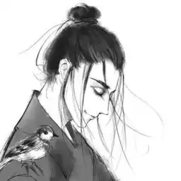 测试一个超长简介的文章