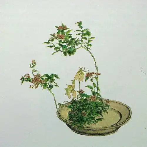 陆拾柒目画花话花道