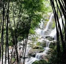 组图竹海拥翠满目都是清凉