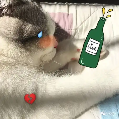 95后老阿姨竟然被十二岁小学生追求是心动的感觉啊啊啊