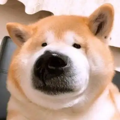 搞怪头像有趣的你万里挑一