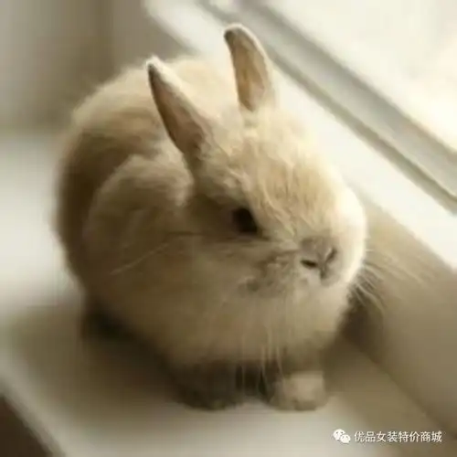 画眉这样画眉竟然比整容还好看