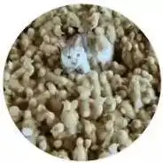 喵星人到农场看见小鸡兴奋的不得了,可没过几天喵就崩溃了...