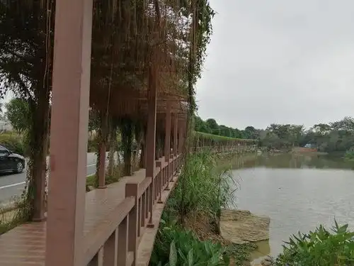 冬游好去处,南宁美丽南方绿意盎然