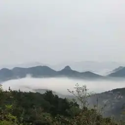 淄博鲁山国家森林公园攻略,鲁山国家森林公园鲁山植物园门票游玩攻略地址图片门票价格