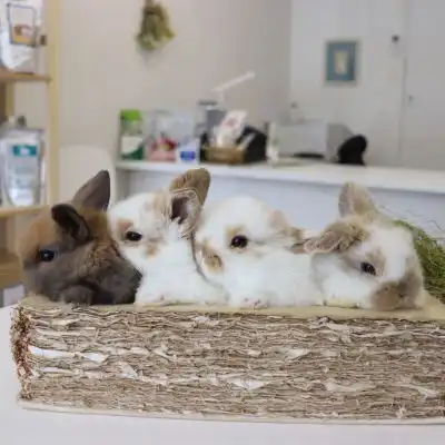 微信头像