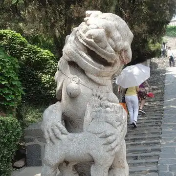 我的收藏
