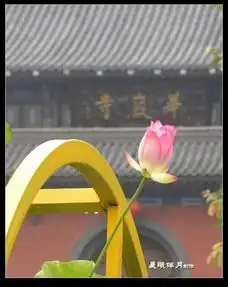 测试一个超长简介的文章