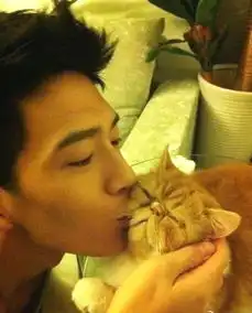 向佐求婚郭碧婷被狗抢镜宠物才是明星豪宅真主人