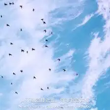 文艺字