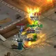 传奇世界道士群殴兵乱心不乱