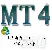 mt4黄金外汇交易软件
