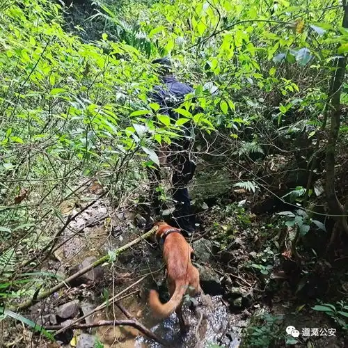 嘿我的伙伴,该我们出场了