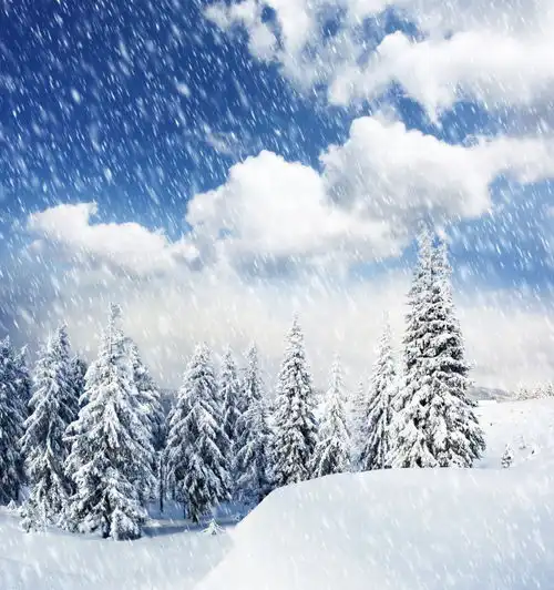 高清冬季冬天雪景自然风景jpg图片摄影图下载至来源处