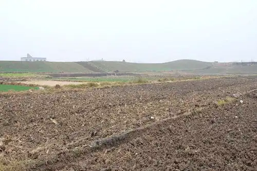 凤阳新闻网