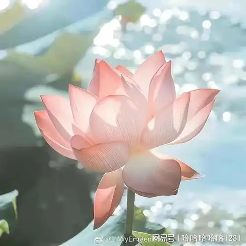 临沂一地集中隔离点病房计划3月31日前移交使用