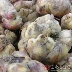 失眠最好的治疗方法