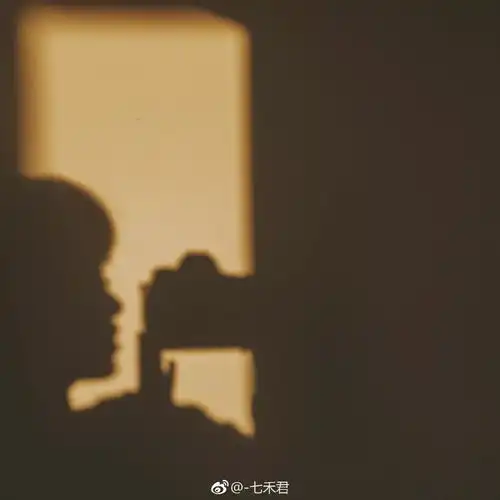 百看不厌的质感照片,瞬间带你入画