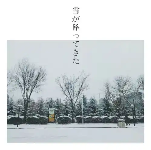 雪后踪影丨这里有专属信商的手机壁纸哦