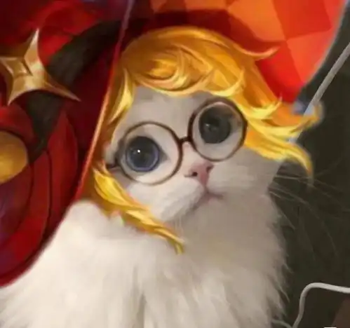 王者小猫头像,你要抱哪个回家