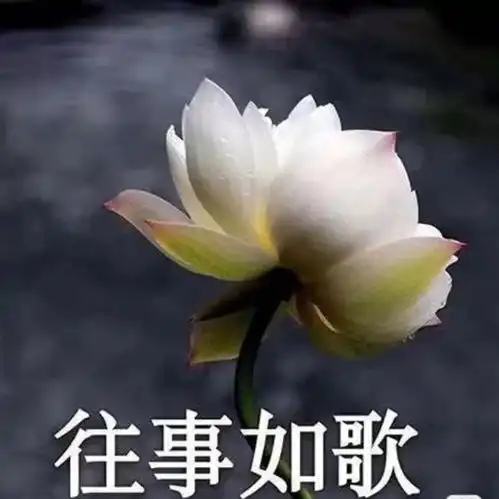 安徽富邦装饰怎么样设计案例电话地址口碑评价土巴兔装修网