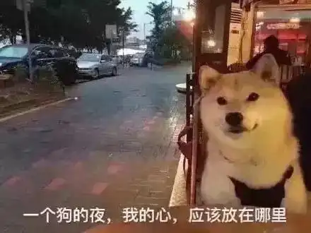 夜读七夕天阶夜色凉如水,卧看牵牛织女星