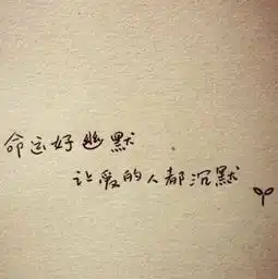 敷衍简介敷衍背景介绍yy官方