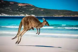 盘点澳大利亚你最值得去的地方,美到让人心醉...