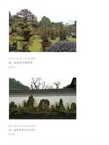静心禅意根雕根宫佛国