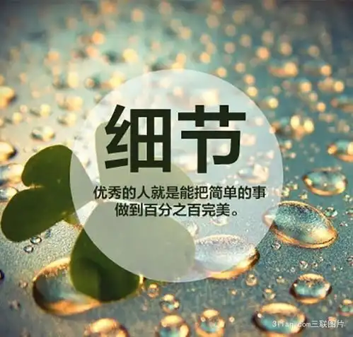 新发展