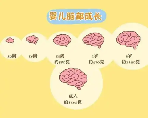 哈佛研究发现长大后越混越好的孩子,7岁前大多拥有这3个特征