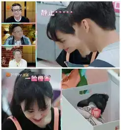 郑爽收到张恒送的迷你香猪后一脸懵圈