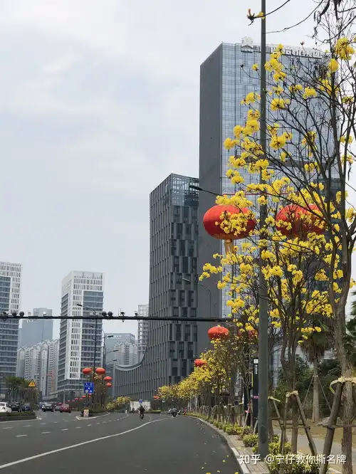 南宁,你最爱它的那张名片