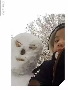 2017年伊犁的第一场大雪终于来了这么多漂亮的雪景,你错过了吗