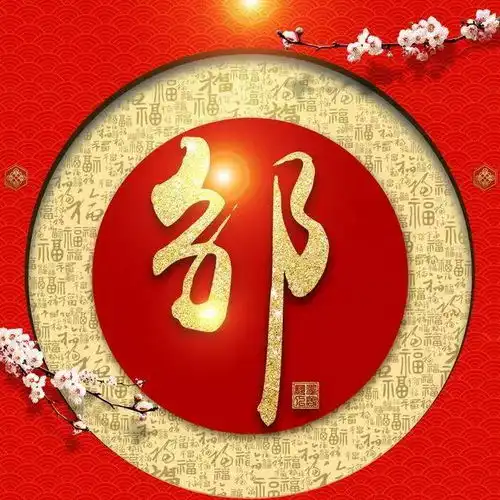 春节快到了您的头像该换了红色喜庆金字百家姓微信头像