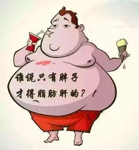 为什么瘦子也有脂肪肝脂肪肝该如何调理